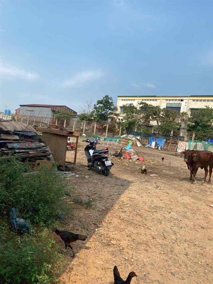 Đất vườn Phường Bình Chiểu ,cách mt Ngô chí Quốc 300m