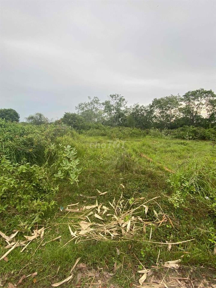 đất đường số 8