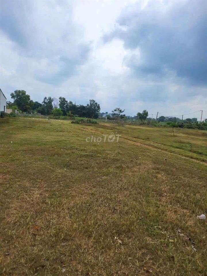 SIÊU PHẨM MẶT TIỀN 2000M² (30X65)  THỔ CƯ NGAY KDC LÀNG ĐẠI HỌC MỚI