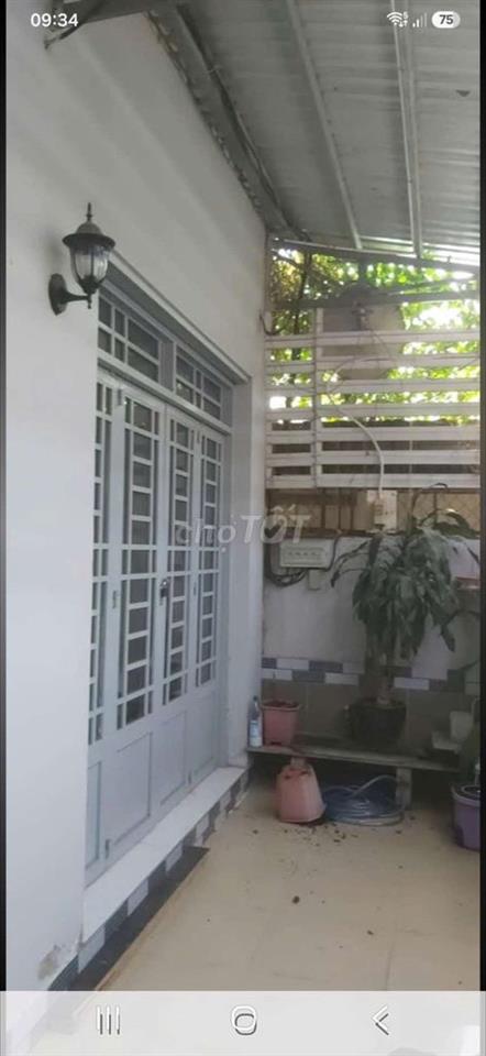 nhag cho thuê nguyên căn 3×11 có sân hẻm 3m cổng riêng tự do