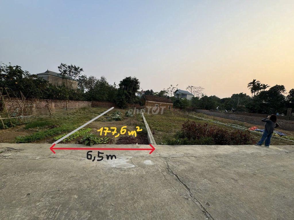 Chính chủ lô đất tại Thôn 3, Phú Cát, Hà Nội