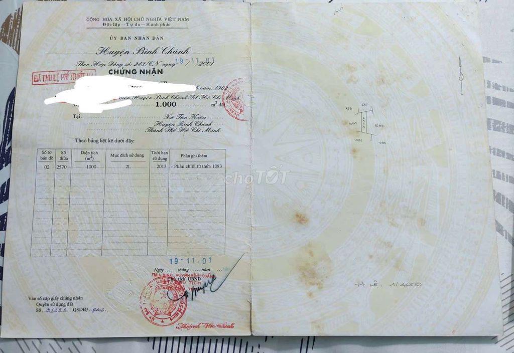BÁN ĐẤT TRỒNG CÂY LÂU NĂM XÃ TÂN NHỰT ( TÂN KIÊN-BÌNH CHÁNH)