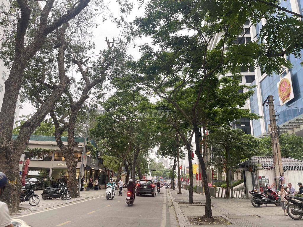 Bán đất 574m2 mặt phố Đội Cấn trung tâm quận Ba Đình.