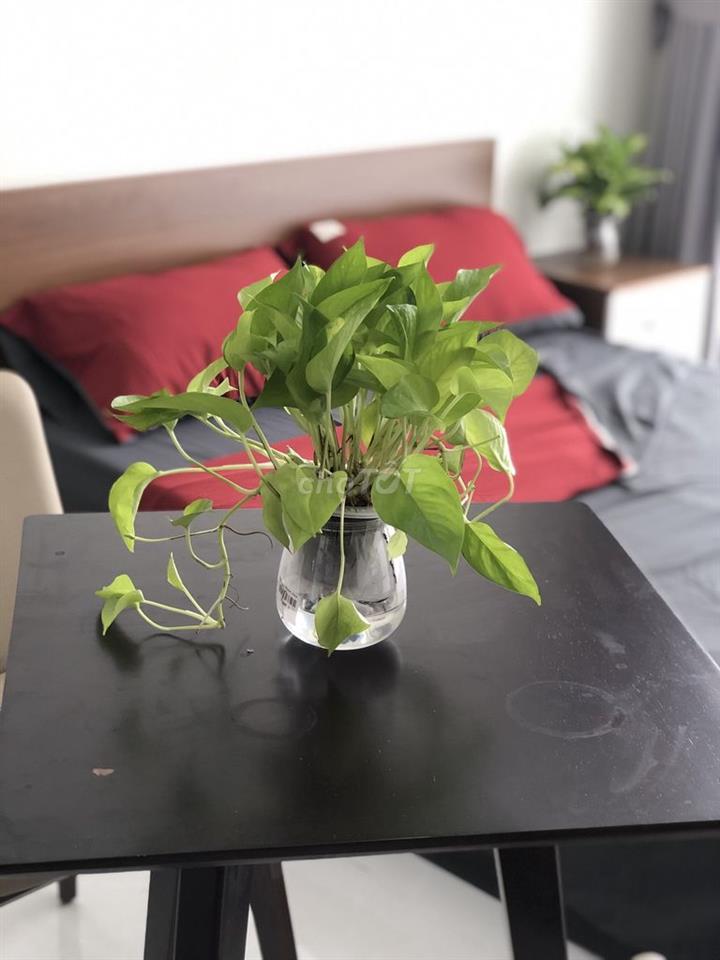 CHO THUÊ PHÒNG TRỌ CẦU GIẤY