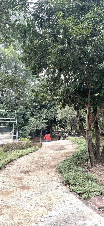 BÁN ĐẤT TẶNG NHÀ CẤP 4 TÊN PHONG BA VÌ