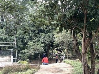 BÁN ĐẤT TẶNG NHÀ CẤP 4 TÊN PHONG BA VÌ
