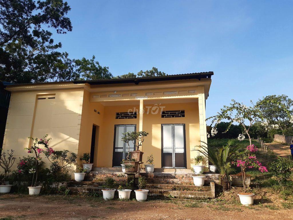 CẦN BÁN NHÀ VƯỜN 2193m²  CHÍNH CHỦ - BA VÌ, HÀ NỘI