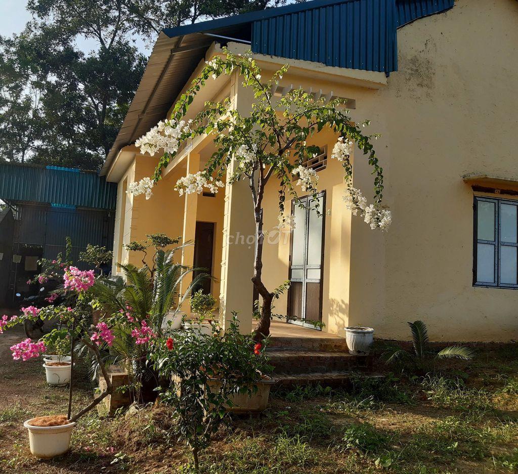 CẦN BÁN NHÀ VƯỜN 2193m²  CHÍNH CHỦ - BA VÌ, HÀ NỘI