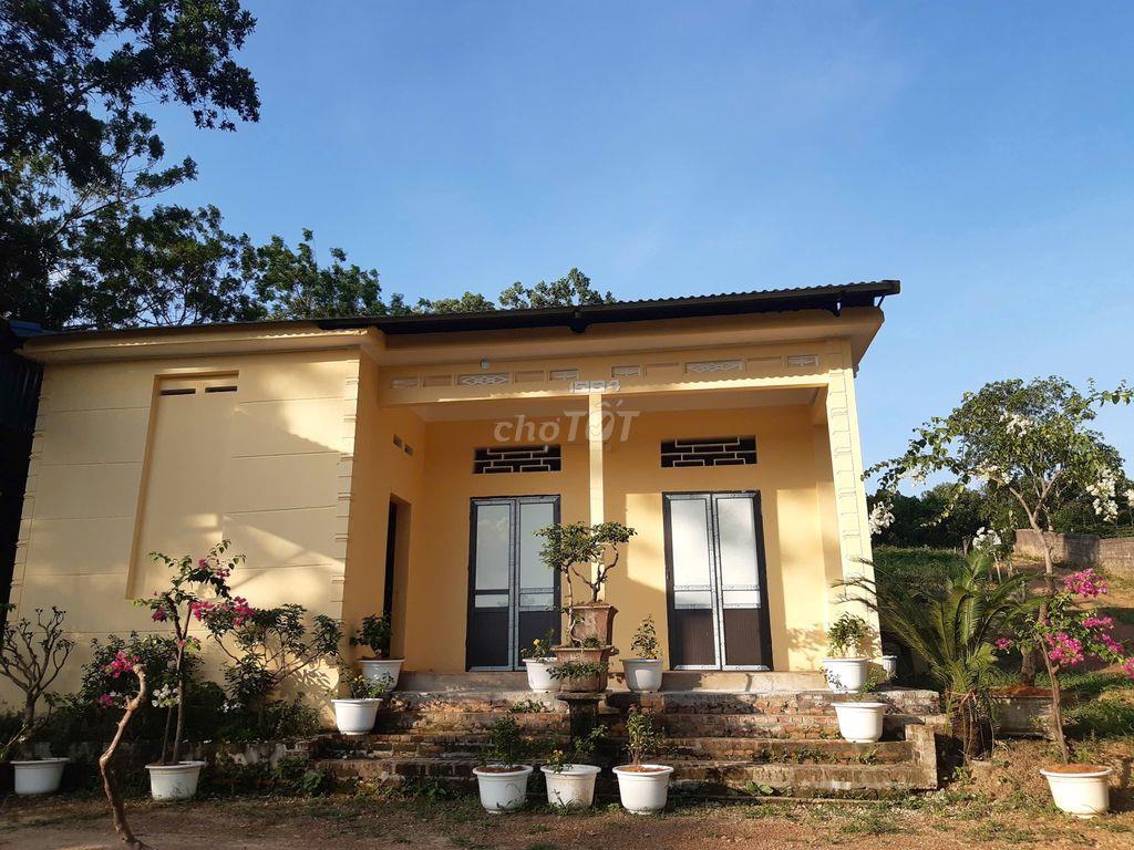 CẦN BÁN NHÀ VƯỜN 2193m²  CHÍNH CHỦ - BA VÌ, HÀ NỘI