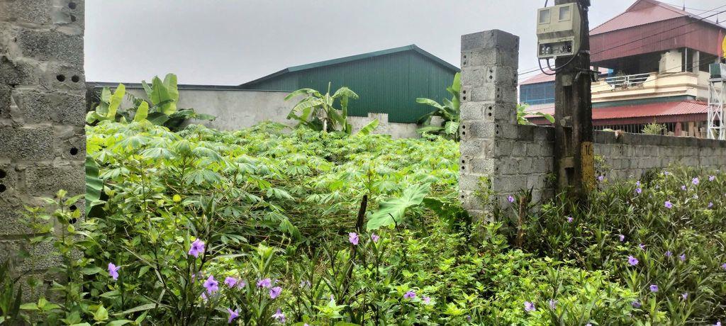 Cần bán 500m2 đất ở nông thôn, mặt tiền đường Cầu Ngói, thôn Bằng Tạ