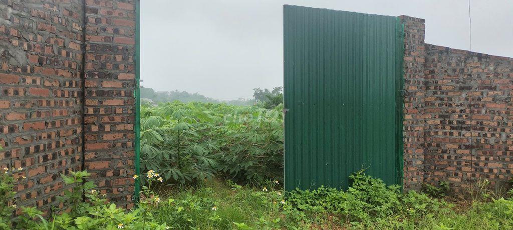 Cần bán 500m2 đất ở nông thôn, mặt tiền đường Cầu Ngói, thôn Bằng Tạ