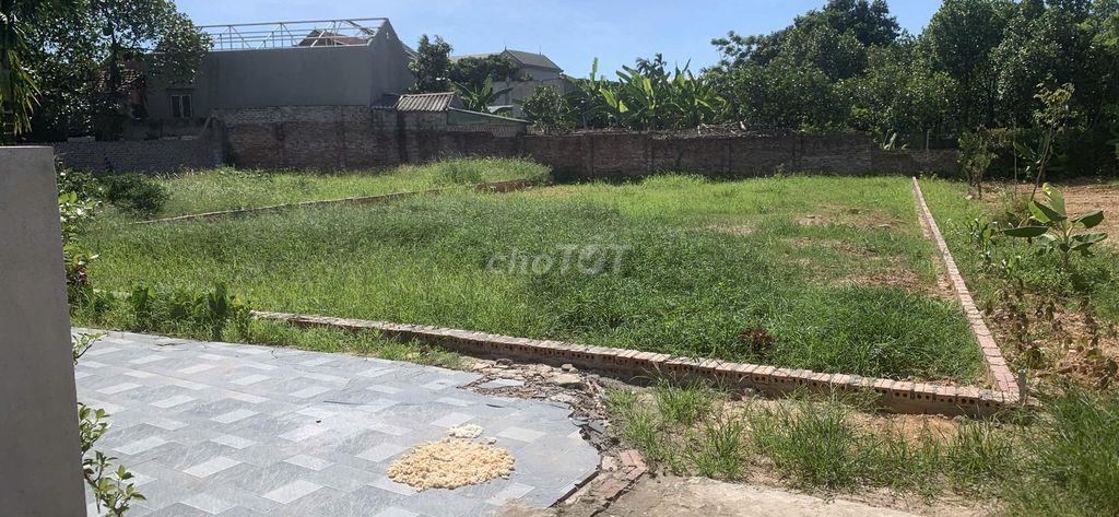 Bán đất chính chủ tại Tây Đằng