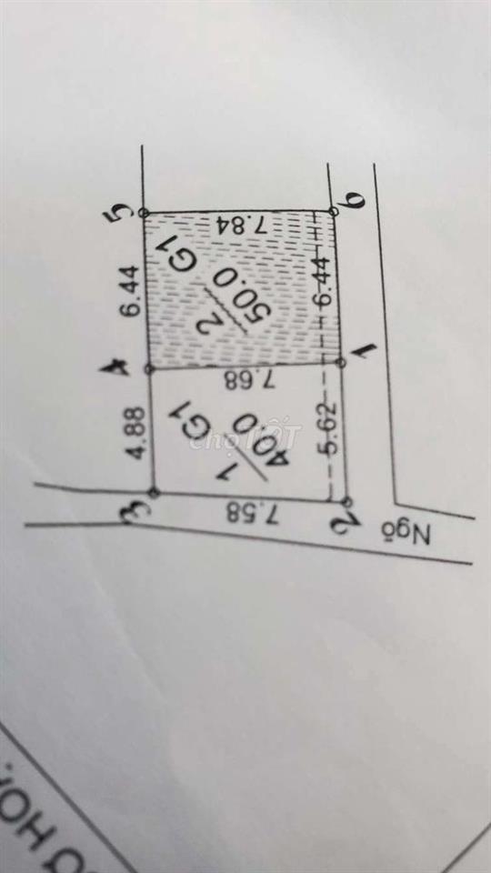 cần tiến bán gấp
