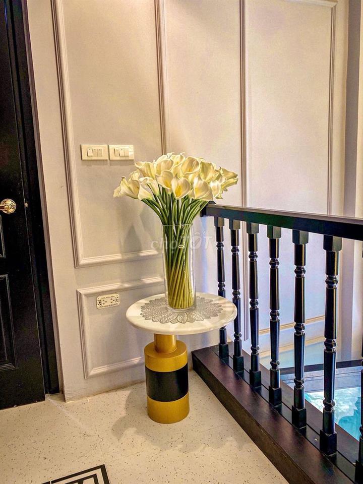 Nhà cực đẹp con phố vip Hoàng Cầu - Gara 7 tầng NT dát vàng  >20tỷ