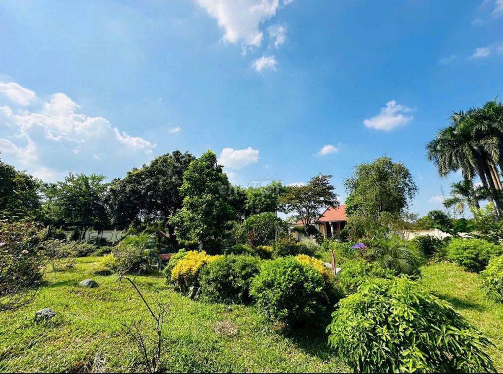 Đất đẹp khuôn viên nhà vườn suối sếu - nhuận trạch - lương sơn