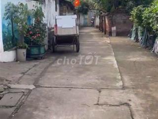 Đất thổ cư Đan Phượng, Sổ chính chủ