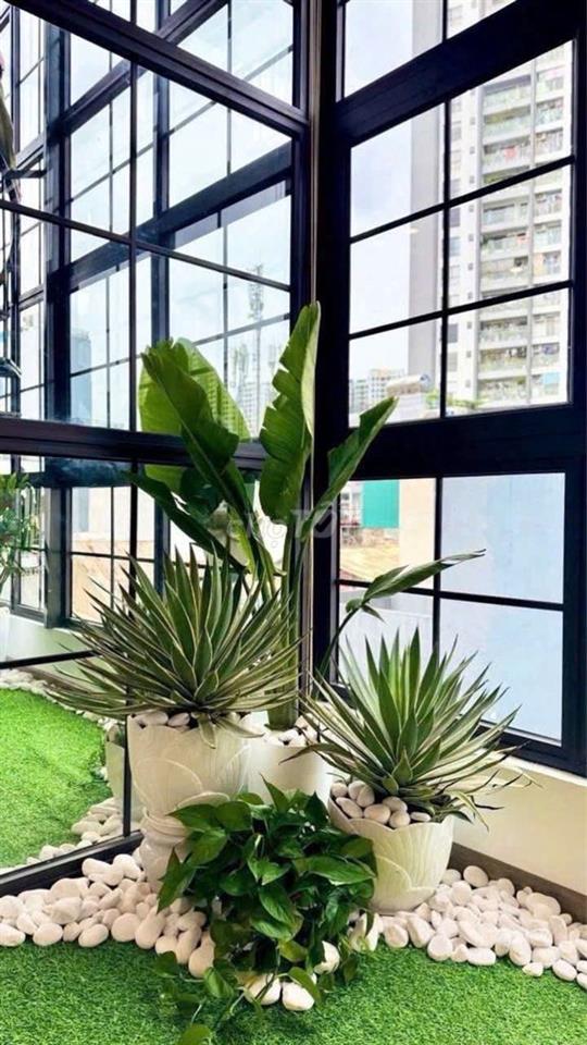 🍀 💎 🌹Hạt dẻ nhất Minh Khai, Hà Nội