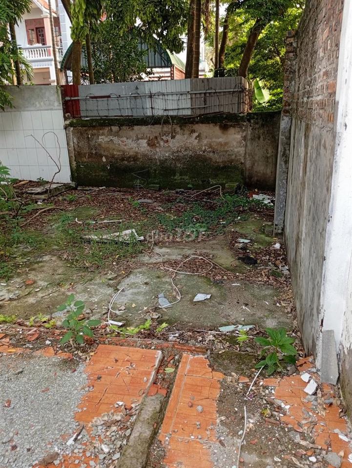 93m2 sẵn sổ đỏ chính chủ tại Xóm Trong, Uy Nỗ, Đông Anh, Hà Nội