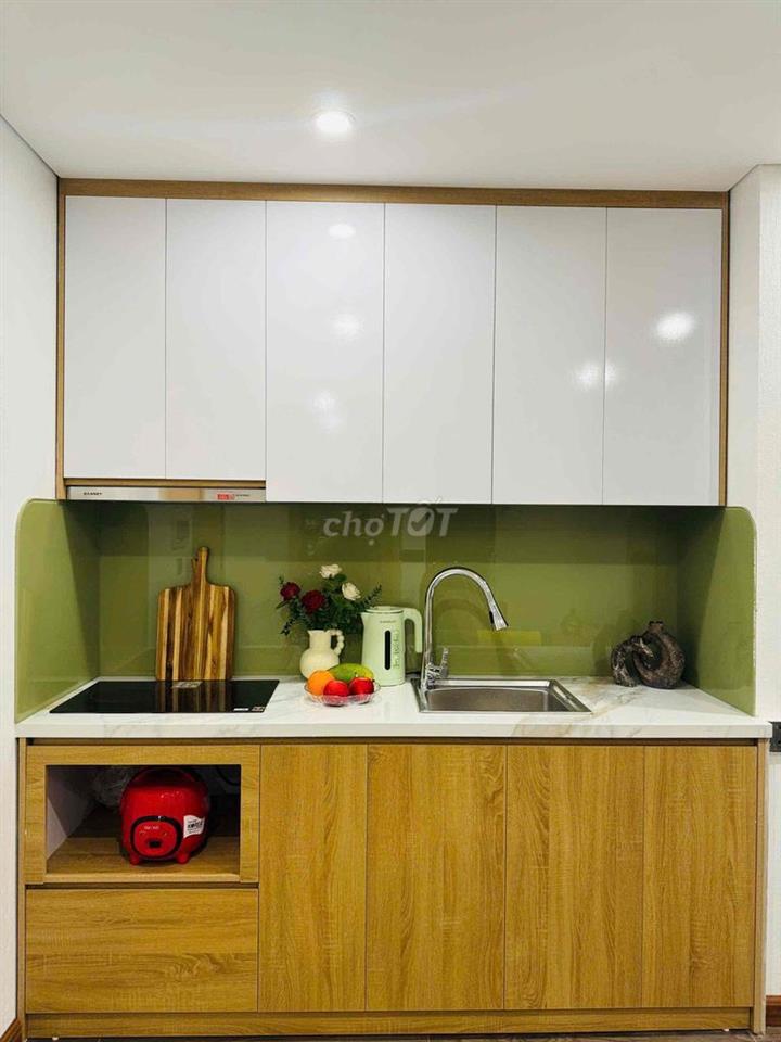 CHO THUÊ CĂN HỘ CAO CẤP Ở NGUYỄN CHÍ THANH