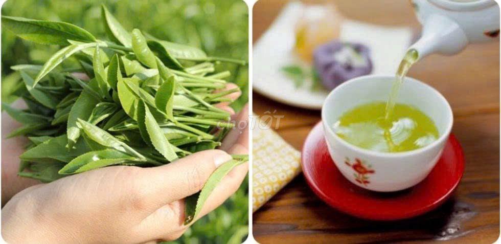HOMESTAY MÙA THU HÀ NỘI-CHO THUÊ PHÒNG TẠI TRƯỜNG CHINH GẦN NGÃ TƯ SỞ 