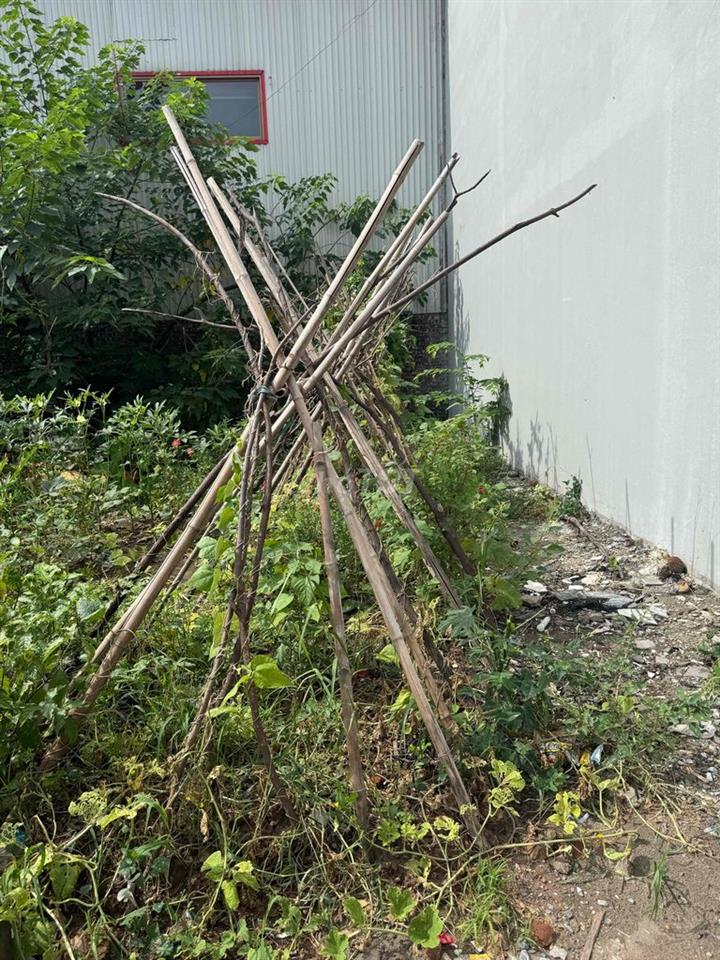 chủ đi nước ngoài cần bán đất