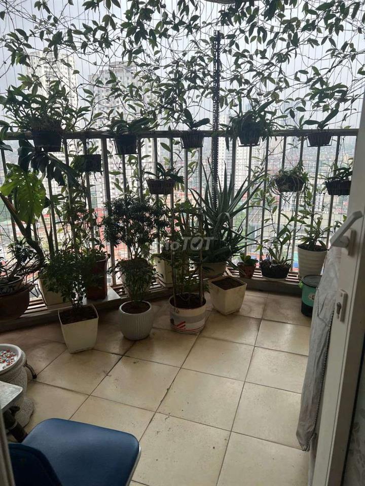 bán căn góc 3 ngủ 3 vệ sinh