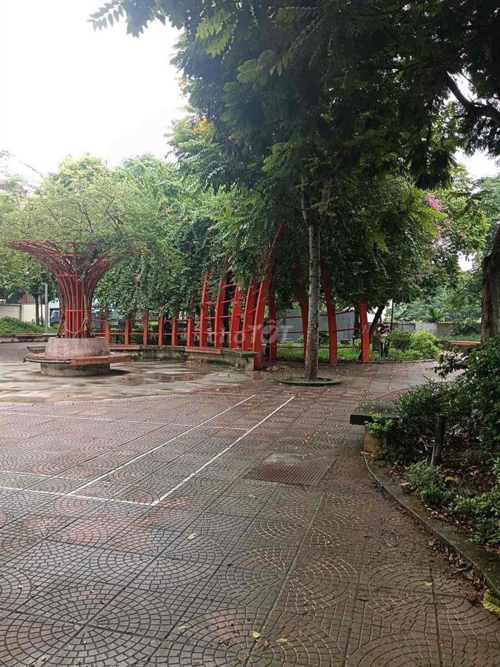 chính chủ cho thuê nhà 33mx3 tầng