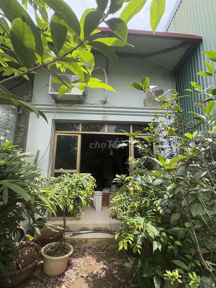 CHÍNH CHỦ- ĐẤT 140m2 MẶT ĐƯỜNG BIÊN GIANG
