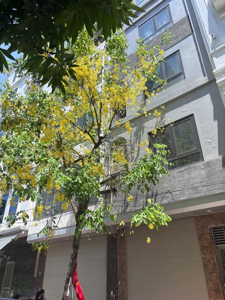 Studio 28m² full nội thất Vạn Phúc Hà Đông