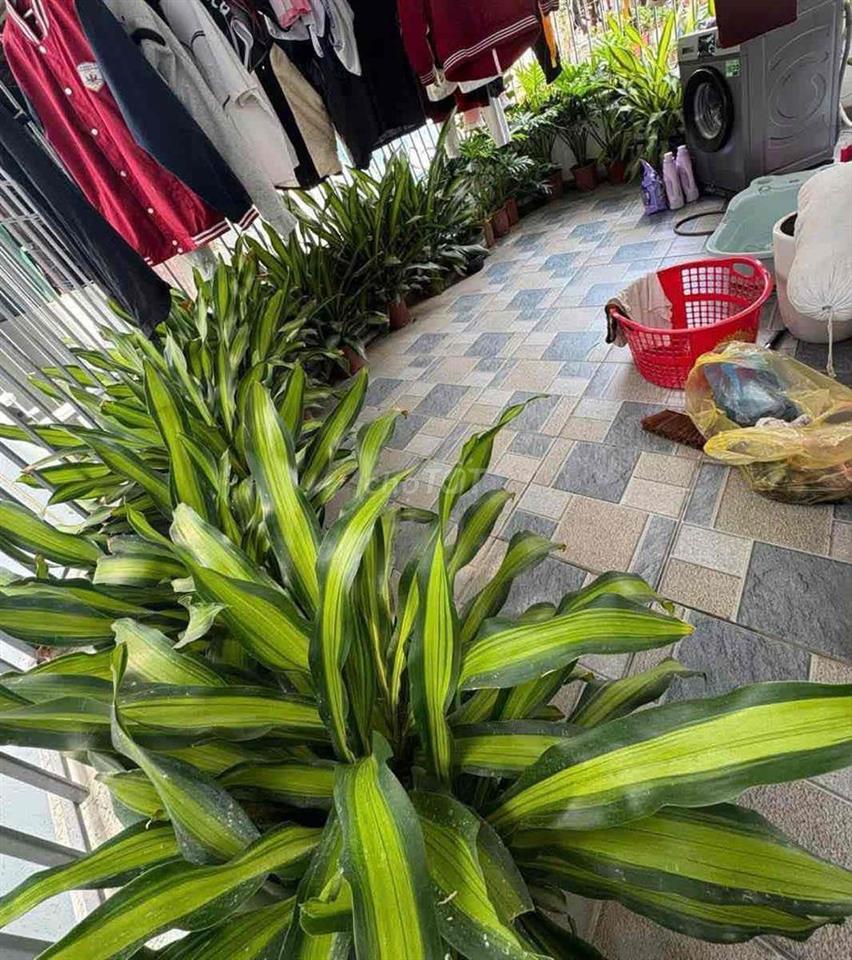 Rẻ quá .Trần Khát Chân 45m , lô góc 4 ngủ thoáng sáng  có chỗ để xe