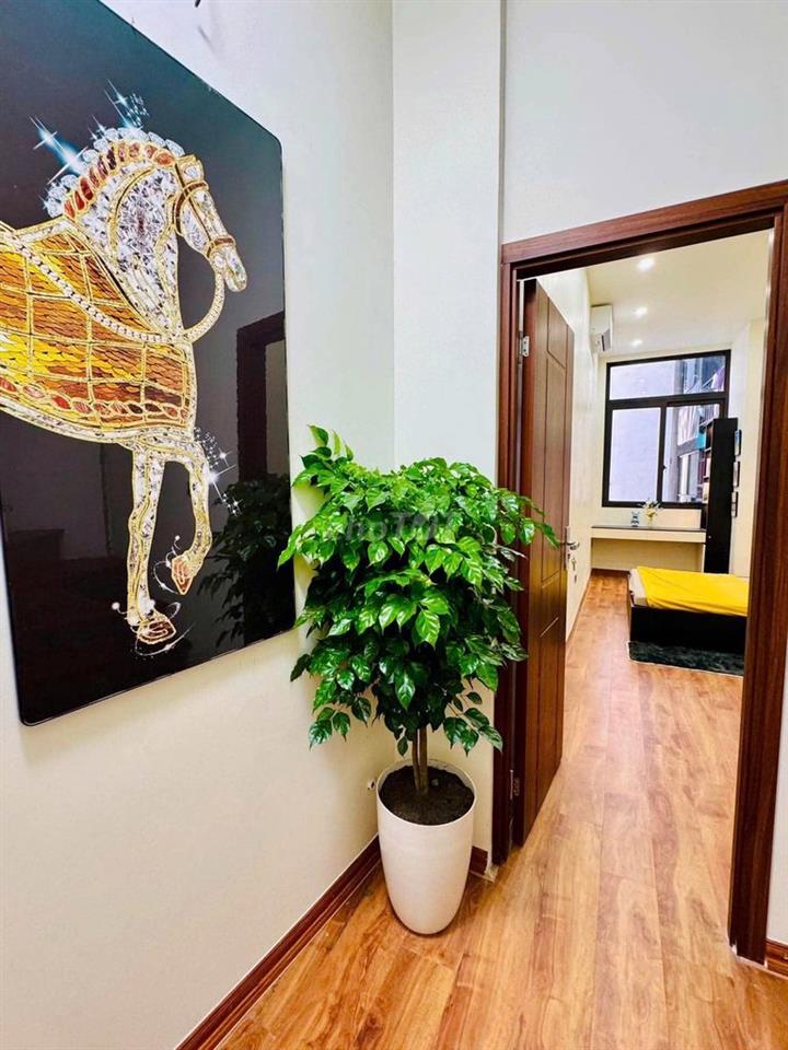 Chính chủ bán nhà Bạch Mai, 25m2 5 tầng , full nội thất nhỉnh 7 tỷ