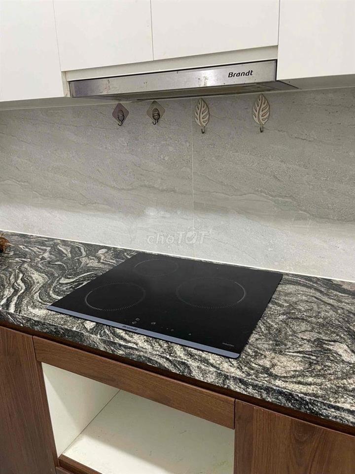 CHO THUÊ CĂN 3N-2WC Capital Elite Phạm Hùng