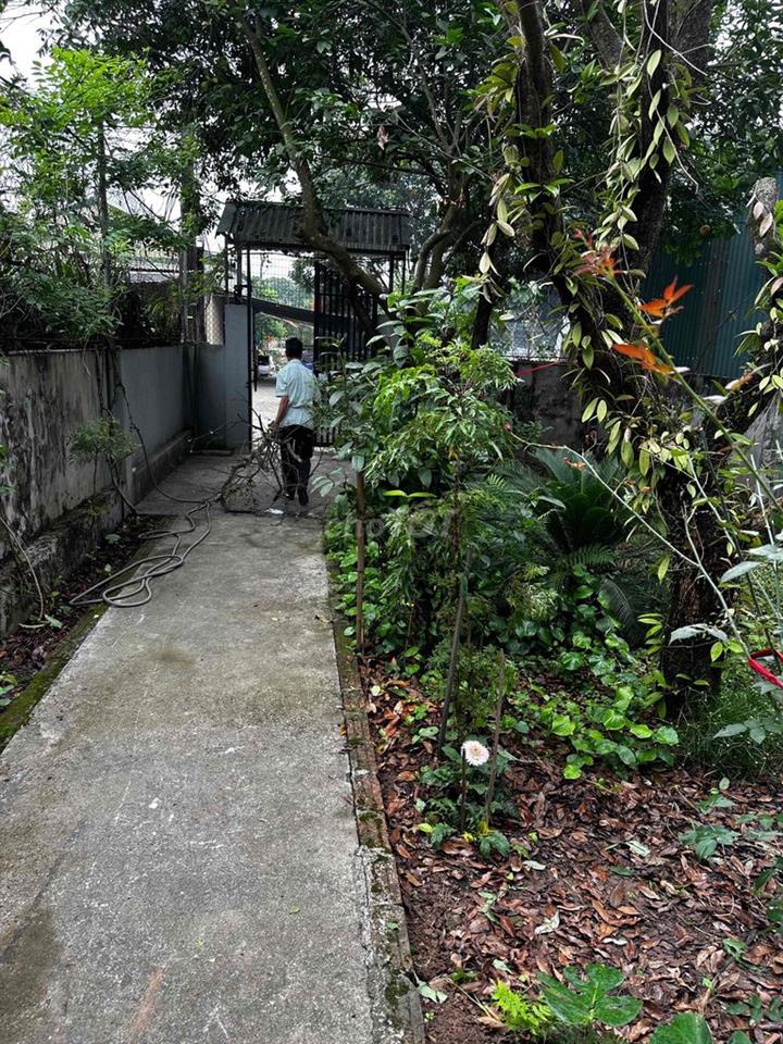 Chính chủ bán nhà tại hoài đất