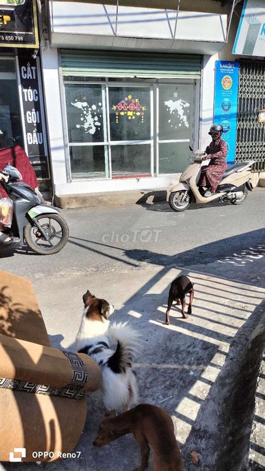 Di trạch chính chủ cho thuê mb kd