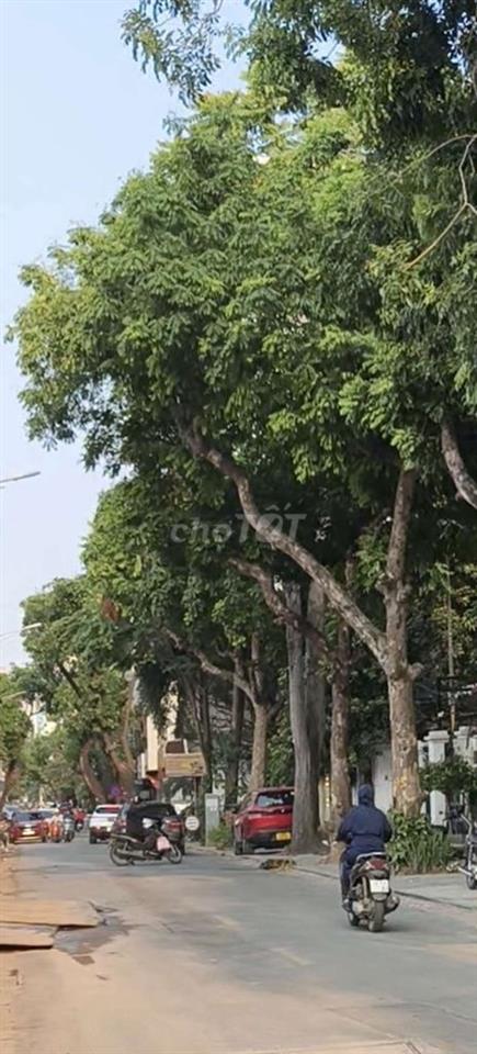Bán nhà mặt phố phường Cửa Nam