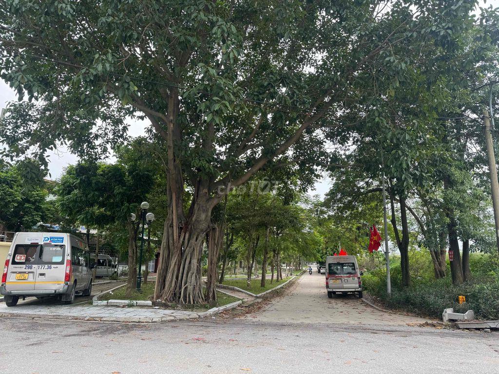 Bán đất Tình Quang – Giang Biên – Long Biên