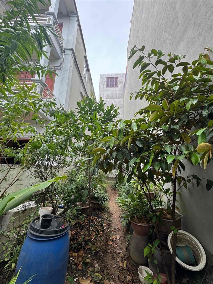 Bán đất Tình Quang – Giang Biên – Long Biên