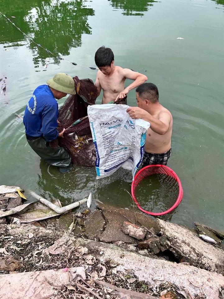 bán đất 3.5 Vân Canh