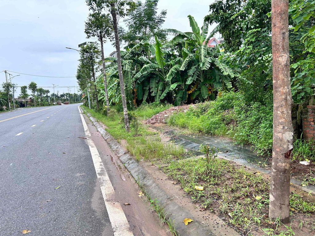 cho thue kho xưởng Kim Chung Di Trạch Hoài Đức