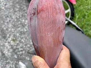 bán biệt thự Lideco Hoài Đức Hà Nôi
