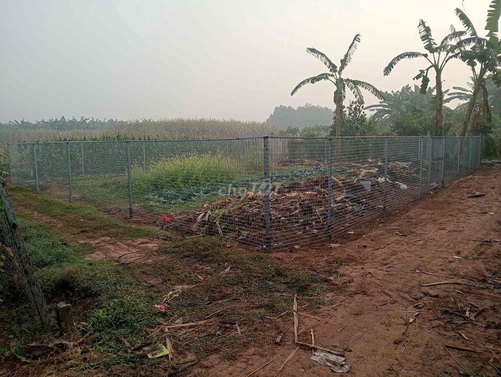 bán đất nông nghiệp Quốc Oai