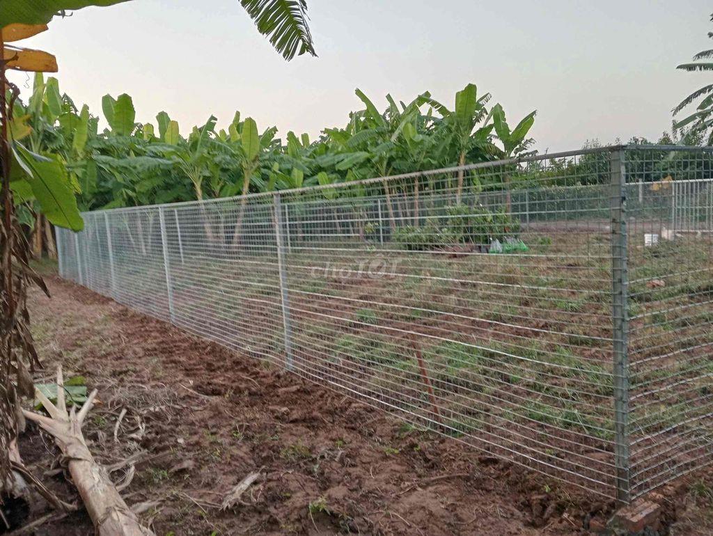 bán đất nông nghiệp Quốc Oai
