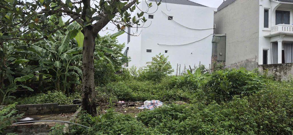 Bán đất 85,6m² Quốc Oai – Hà Nội, Đường ô tô, Có 60m² thổ cư, Giá tốt
