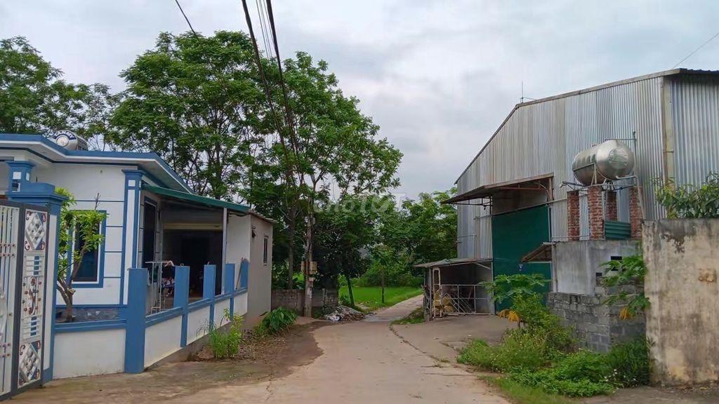 Bán đất