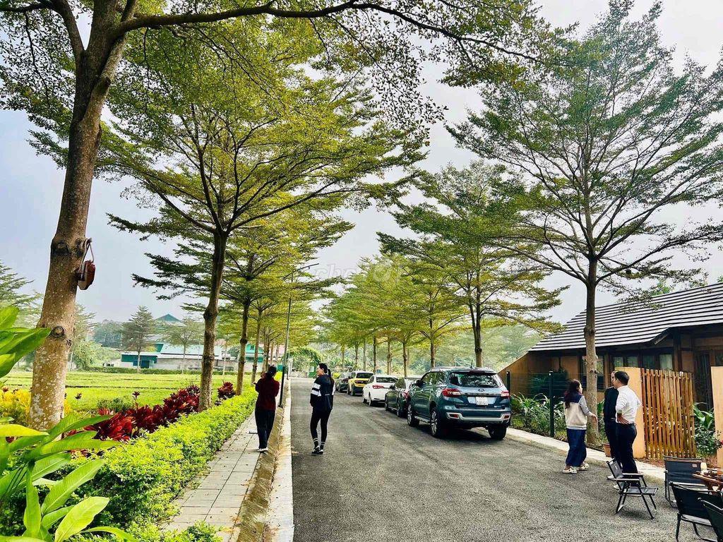 Đất nền HOÀ LẠC