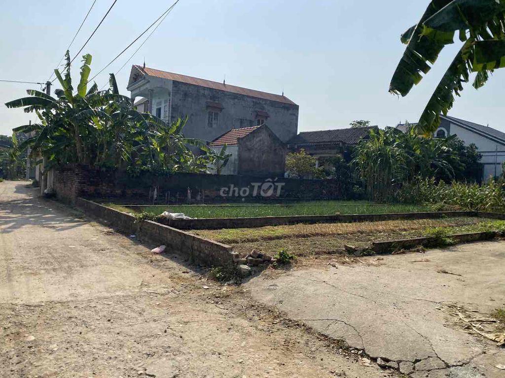 bán đất