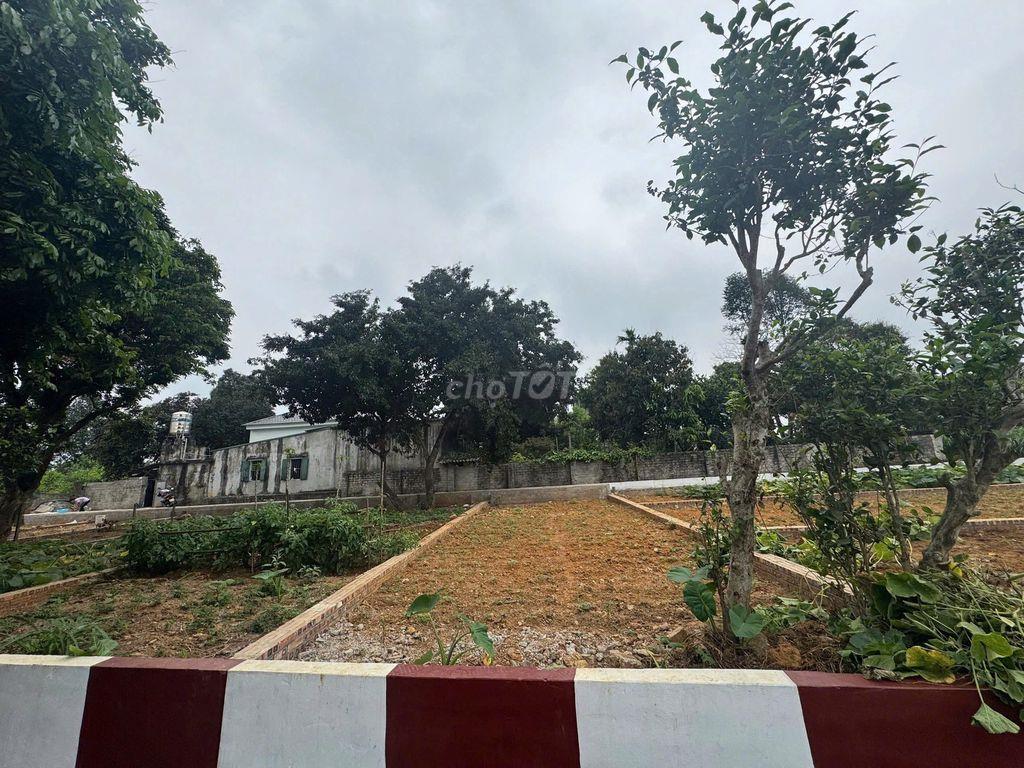 Cần bán gấp mảnh đất ở đô thị, sổ đỏ Hà Nội, gần 3 trường Đại học lớn