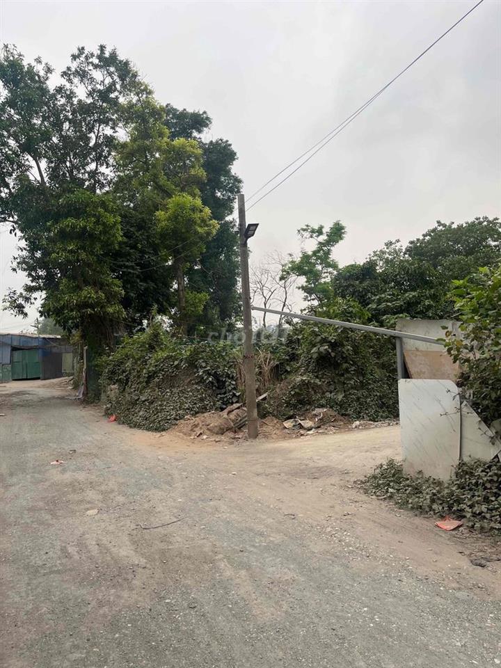 Cần bán nhà cấp 4 An Dương, Hà Nội