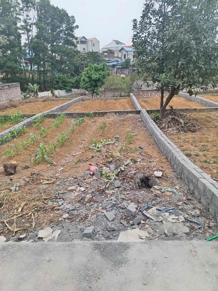 cho thuê nhà phường Yên Phụ