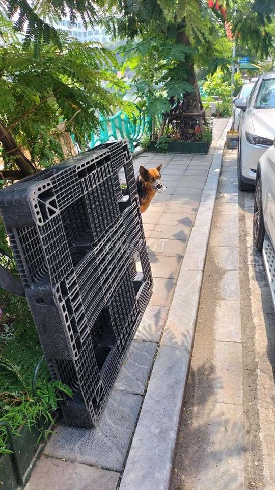 cần tìm phòng trống, kho trống để đồ